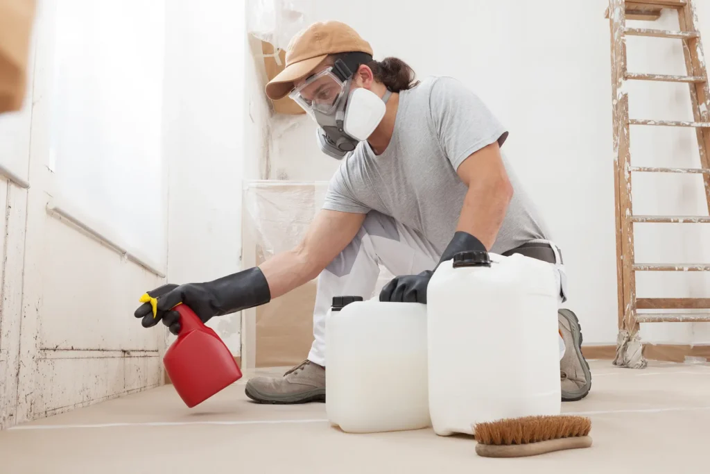 Mold remediation technician in protective gear spraying treatment along a mold-affected wall